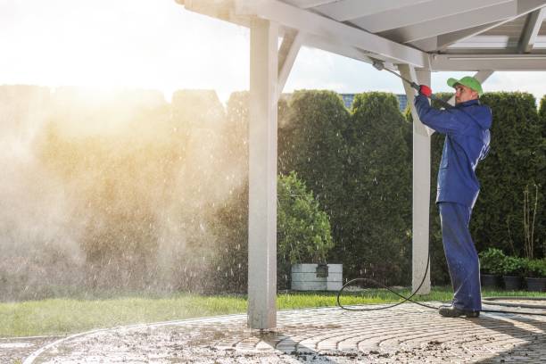 Best House Exterior Washing  in Picnic Point, WA
